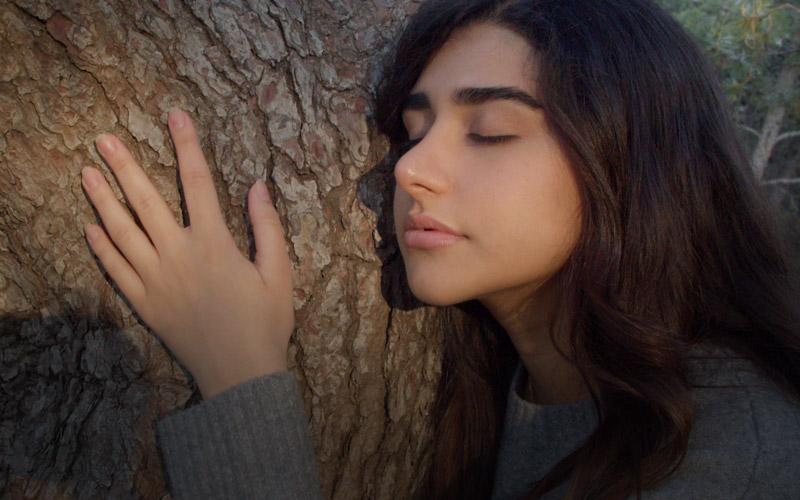 Beyond Silence