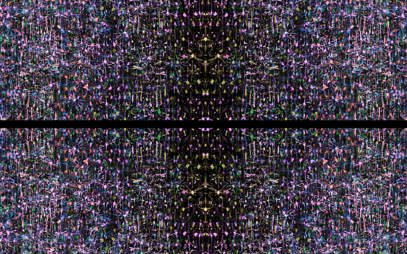 Sounds of a Million Souls