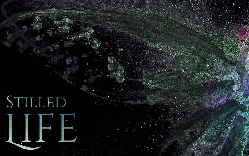 Wallace Chan: Stilled Life