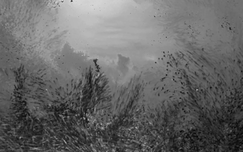 You, The Storm